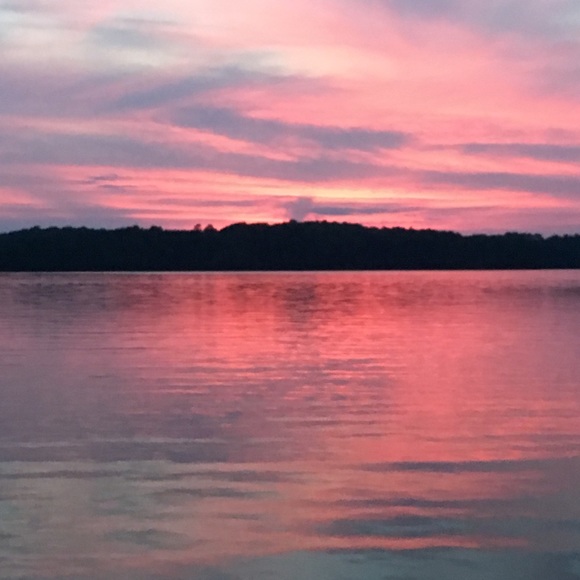 Meet your Posher, Logan - Picture 1 of 1